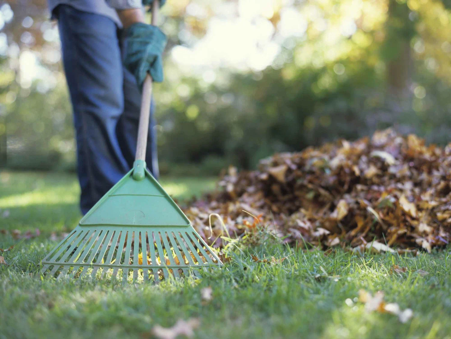 Spring Lawn Clean Up