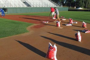 Baseball:Softball Infield Skin Area Establishment and Improvement