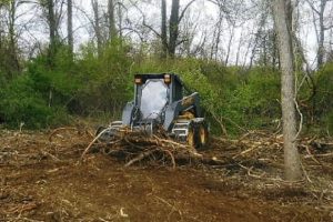 Lot and Land Clearing